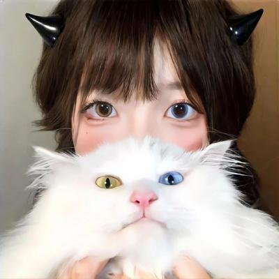 纯情罗曼史第一季